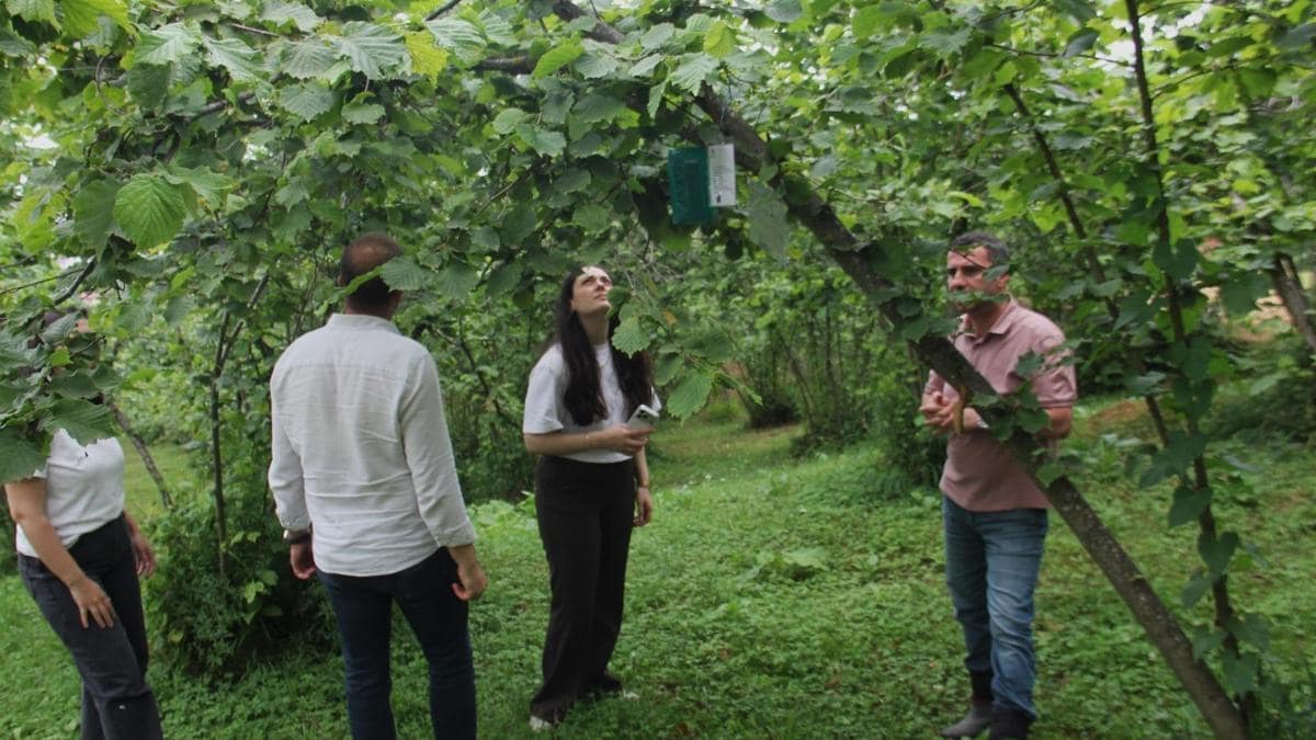 Karadeniz'de Zararlı Böcekleri Siber Kalkanla Takip