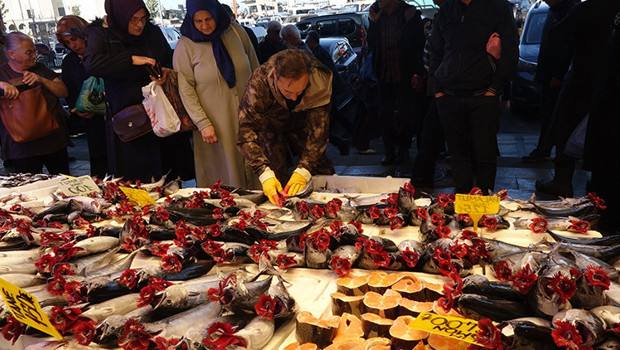 Karadeniz'de palamut bolluğu: Tanesi 125 liradan satılıyor