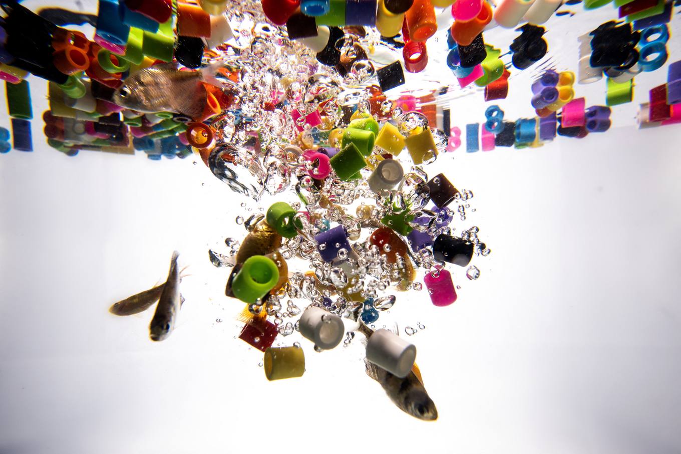 Microplastics Suyla Tepkimeye Giriyor, Biyolojiye Tehdit Oluşturuyor