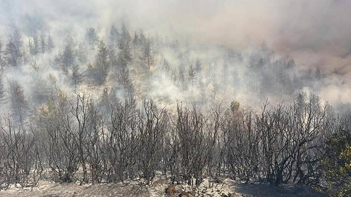 Bursa'da Büyükorhan'da Orman Yangını Kontrol Altına Alındı